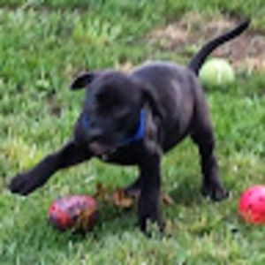 Meet your Posher, Nathan